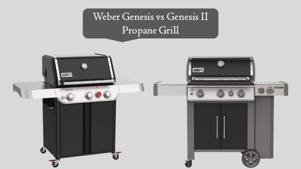 Weber Genesis vs Genesis II