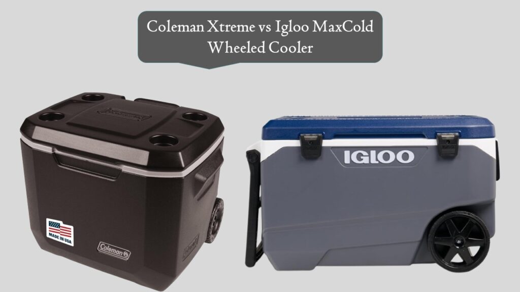 Coleman Xtreme vs Igloo MaxCold