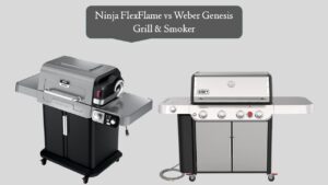 Ninja FlexFlame vs Weber Genesis